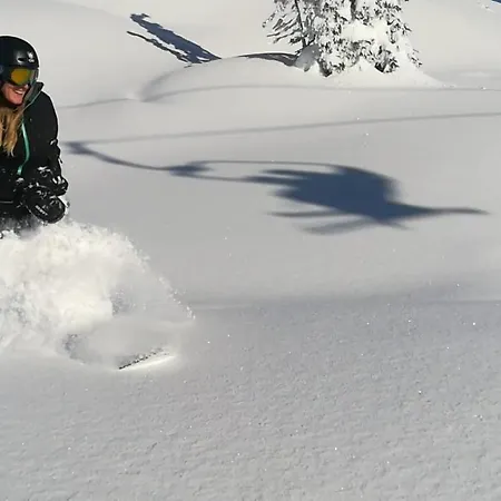 Alpen Chalets Dom wakacyjny