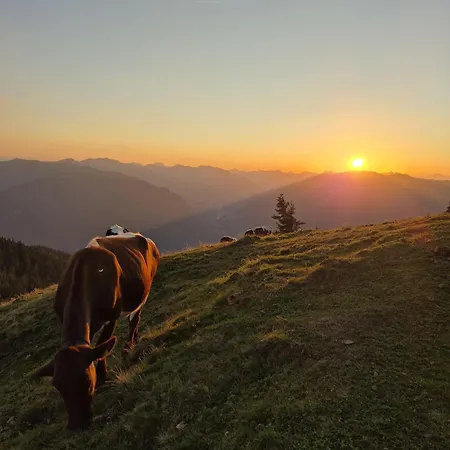 Alpen Fusch an der Grossglocknerstrasse